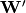 \mathbf{W'}